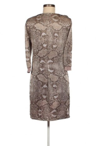 Φόρεμα Amelie & Amelie, Μέγεθος S, Χρώμα Πολύχρωμο, Τιμή 5,92 €