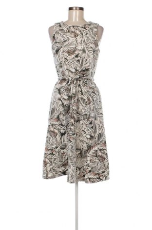 Φόρεμα Anne Klein, Μέγεθος M, Χρώμα Ρόζ , Τιμή 41,94 €