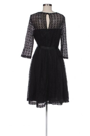 Kleid Betty Jackson, Größe XL, Farbe Schwarz, Preis € 18,09