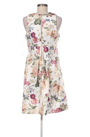Kleid Closet London, Größe L, Farbe Mehrfarbig, Preis 57,06 €