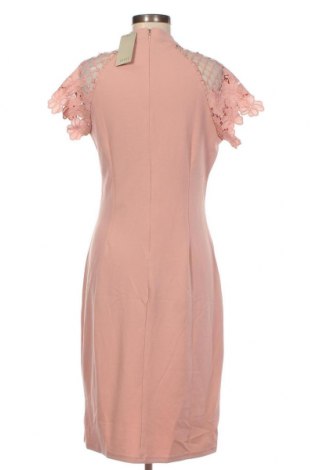 Φόρεμα Coast, Μέγεθος M, Χρώμα Σάπιο μήλο, Τιμή 48,20 €