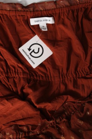 Kleid David Jones, Größe XL, Farbe Braun, Preis 20,18 €