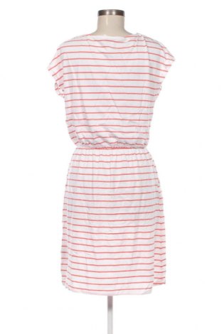 Kleid Esmara, Größe M, Farbe Mehrfarbig, Preis 8,07 €