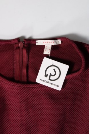 Φόρεμα Esprit, Μέγεθος L, Χρώμα Κόκκινο, Τιμή 17,81 €