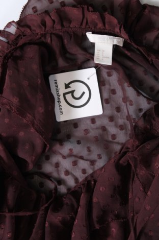 Kleid H&M, Größe S, Farbe Braun, Preis € 4,64