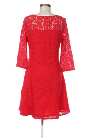 Kleid Lola Liza, Größe L, Farbe Rot, Preis 23,73 €