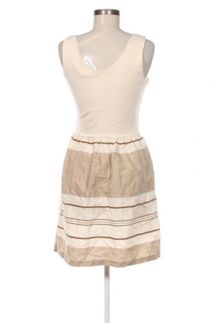 Kleid Massimo Dutti, Größe M, Farbe Beige, Preis € 57,06