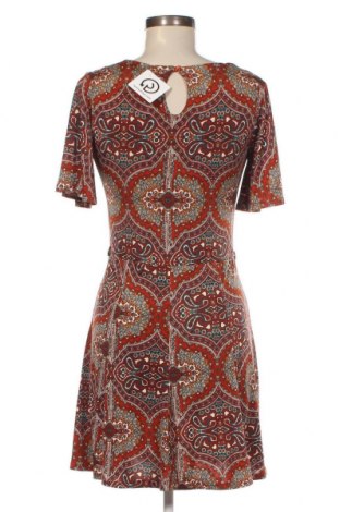 Kleid Morgan, Größe XS, Farbe Mehrfarbig, Preis 13,36 €
