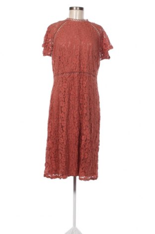 Kleid Next, Größe XXL, Farbe Braun, Preis 33,40 €