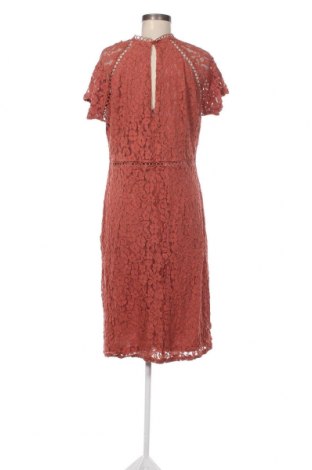 Kleid Next, Größe XXL, Farbe Braun, Preis € 33,40