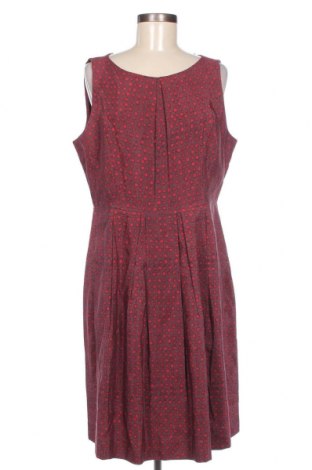 Kleid Noa Noa, Größe XL, Farbe Mehrfarbig, Preis € 29,82