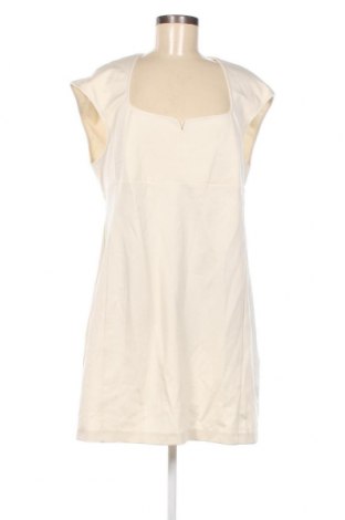 Φόρεμα Pinko, Μέγεθος XL, Χρώμα  Μπέζ, Τιμή 102,21 €