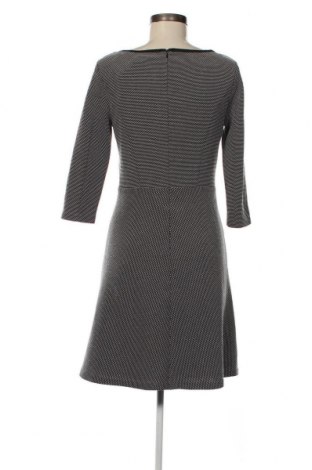 Kleid S.Oliver Black Label, Größe S, Farbe Schwarz, Preis 8,56 €