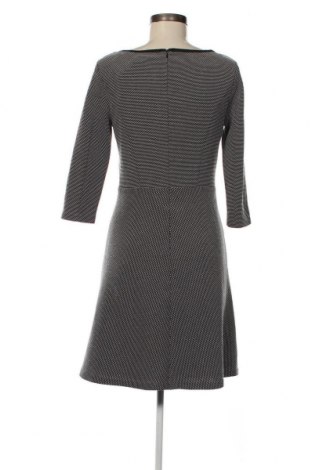 Kleid S.Oliver Black Label, Größe S, Farbe Schwarz, Preis € 57,06