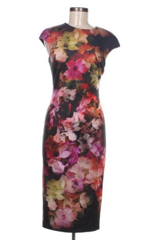 Kleid Ted Baker, Größe XS, Farbe Mehrfarbig, Preis € 109,25
