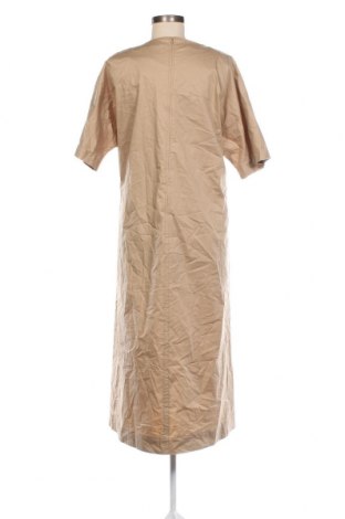 Kleid Xandres, Größe L, Farbe Beige, Preis € 90,46