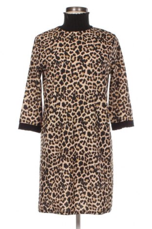 Kleid Zara, Größe S, Farbe Mehrfarbig, Preis 5,82 €