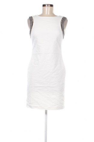 Kleid Zara Trafaluc, Größe L, Farbe Weiß, Preis 33,40 €
