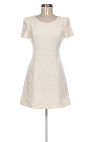 Kleid Zara Trafaluc, Größe M, Farbe Weiß, Preis 20,04 €