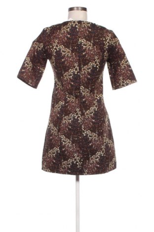 Kleid Zara Trafaluc, Größe M, Farbe Mehrfarbig, Preis 6,01 €