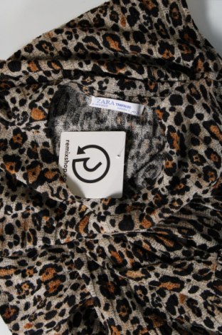 Kleid Zara Trafaluc, Größe S, Farbe Mehrfarbig, Preis € 5,01