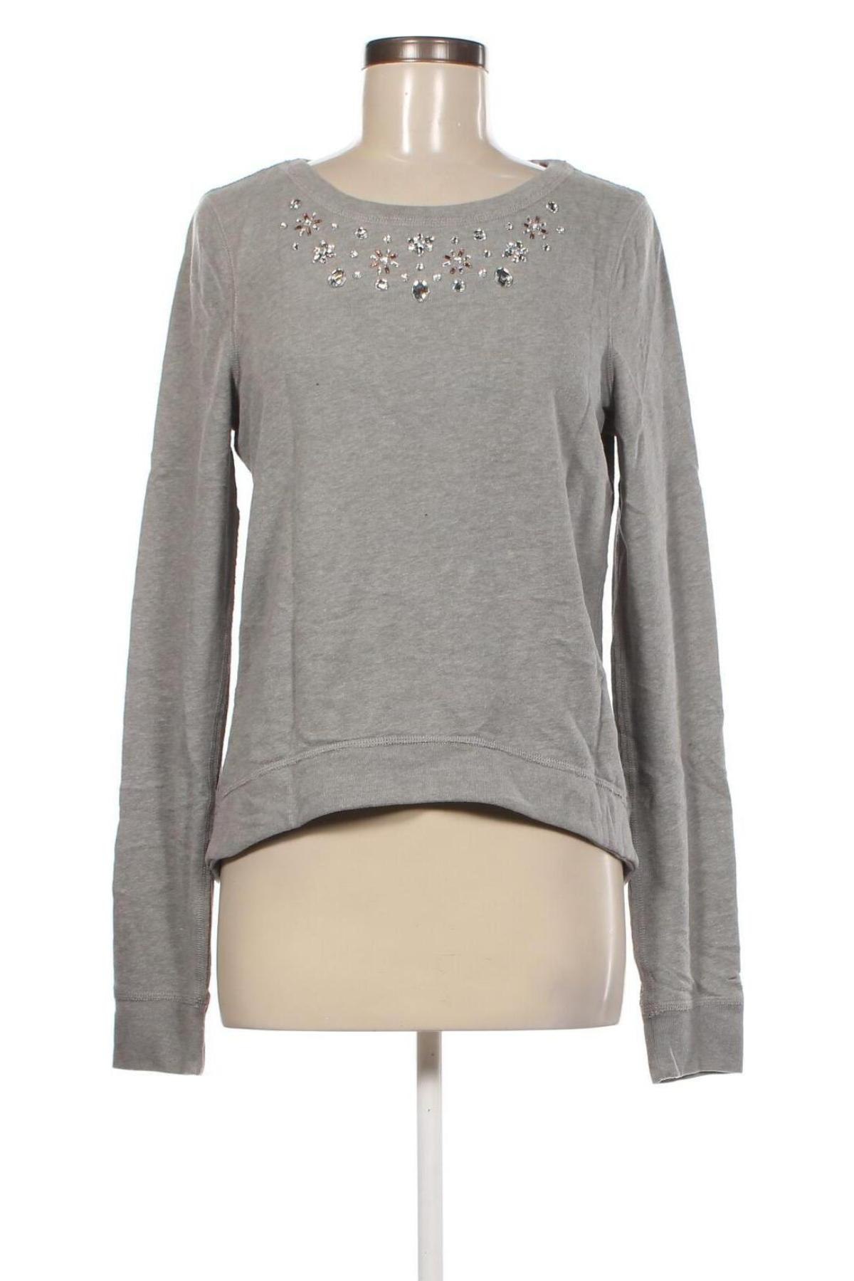 Damen Shirt Hollister, Größe M, Farbe Grau, Preis € 23,66