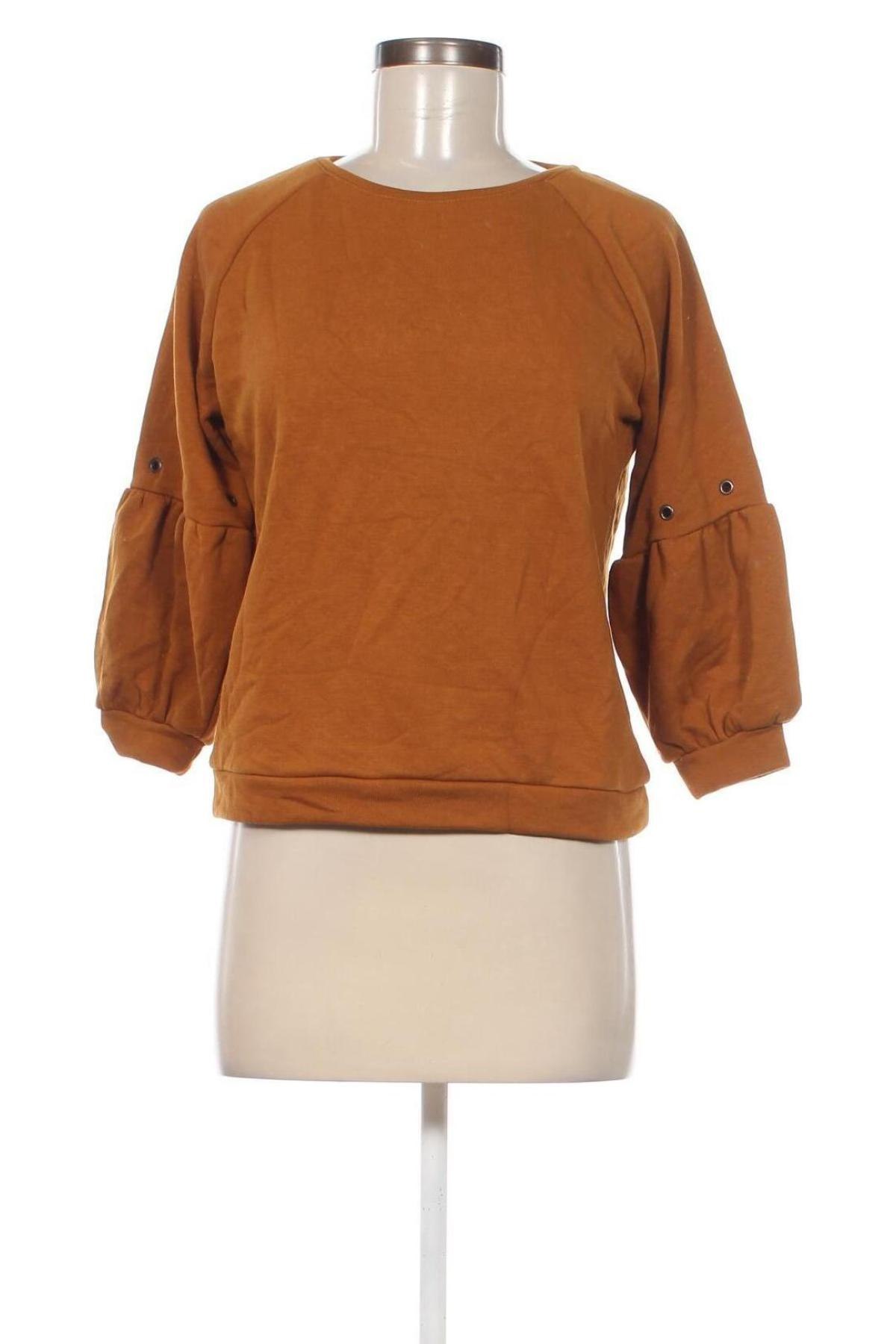 Γυναικεία μπλούζα More & More, Μέγεθος XS, Χρώμα Καφέ, Τιμή 9,80 €