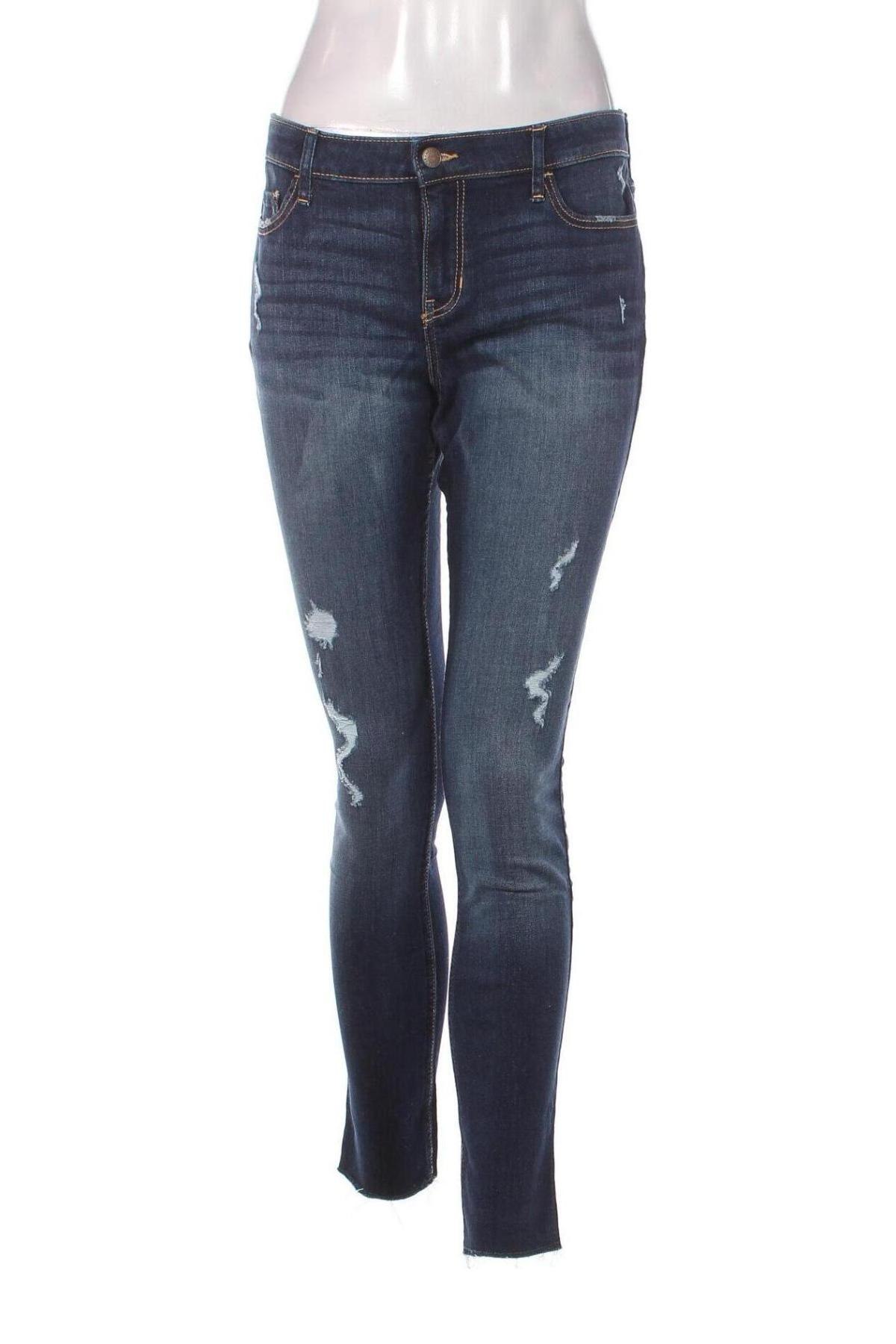 Damen Jeans Hollister, Größe L, Farbe Blau, Preis 9,59 €