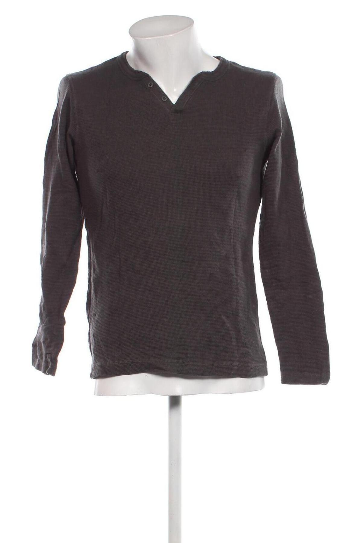 Ανδρική μπλούζα Terranova, Μέγεθος L, Χρώμα Γκρί, Τιμή 4,70 €