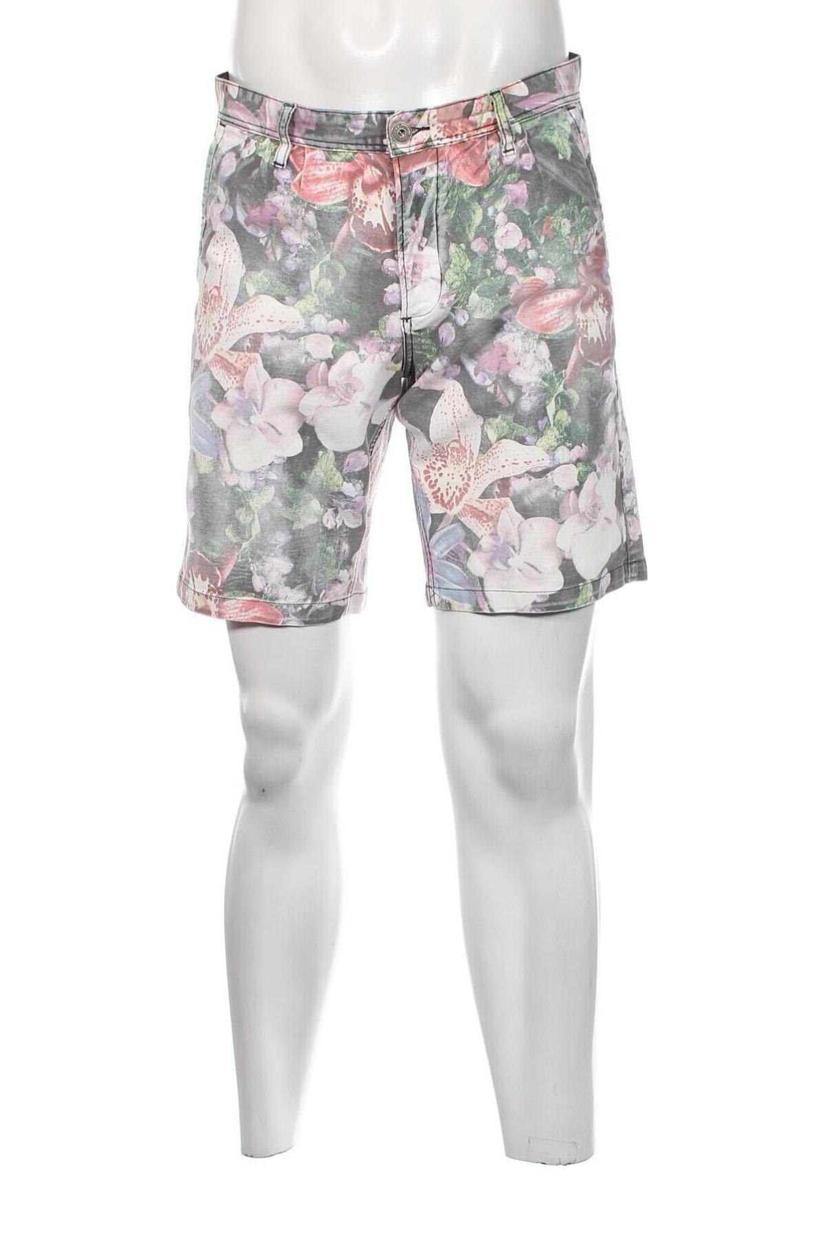 Ανδρικό κοντό παντελόνι Replay, Μέγεθος M, Χρώμα Πολύχρωμο, Τιμή 19,04 €