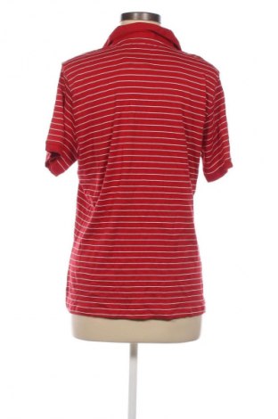 Damen Shirt Bexleys, Größe L, Farbe Mehrfarbig, Preis € 18,99