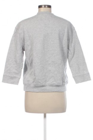 Γυναικεία μπλούζα Calvin Klein Jeans, Μέγεθος M, Χρώμα Γκρί, Τιμή 35,99 €