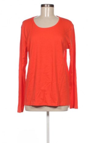 Damen Shirt Cecil, Größe XL, Farbe Rot, Preis € 9,99