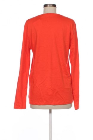 Damen Shirt Cecil, Größe XL, Farbe Rot, Preis € 9,99