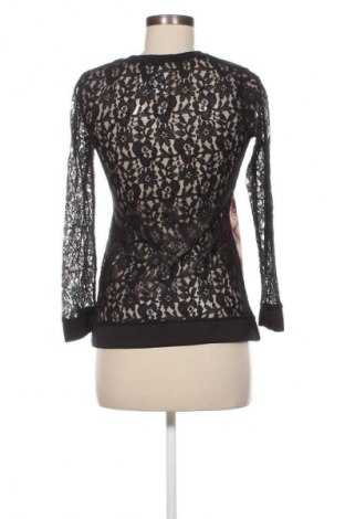 Damen Shirt Charbell, Größe L, Farbe Mehrfarbig, Preis 23,99 €