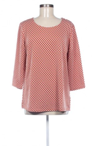 Damen Shirt Collection L, Größe L, Farbe Mehrfarbig, Preis 13,99 €