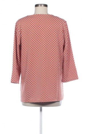 Damen Shirt Collection L, Größe L, Farbe Mehrfarbig, Preis 13,99 €