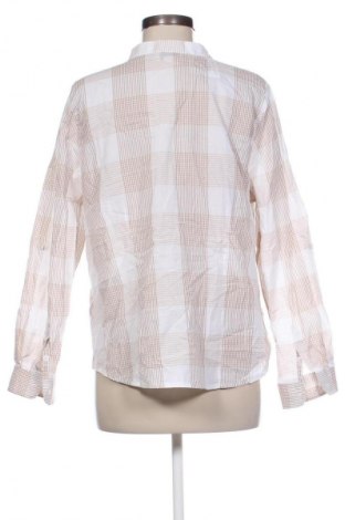 Damen Shirt Collection L, Größe L, Farbe Mehrfarbig, Preis 13,99 €