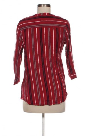 Damen Shirt Colloseum, Größe L, Farbe Mehrfarbig, Preis 13,99 €