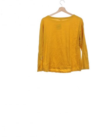 Γυναικεία μπλούζα Edc By Esprit, Μέγεθος XS, Χρώμα Κίτρινο, Τιμή 13,99 €