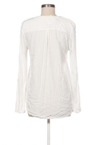Damen Shirt Esprit, Größe S, Farbe Mehrfarbig, Preis € 23,99