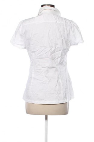 Damen Shirt Esprit, Größe L, Farbe Weiß, Preis € 18,99