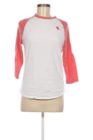 Damen Shirt Express, Größe S, Farbe Mehrfarbig, Preis € 23,99