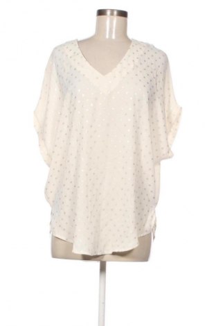 Damen Shirt Holly & Joey, Größe XL, Farbe Mehrfarbig, Preis 14,99 €