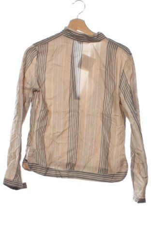 Damen Shirt Mango, Größe XS, Farbe Mehrfarbig, Preis 18,99 €