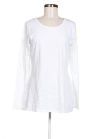 Damen Shirt Opus, Größe XL, Farbe Weiß, Preis 33,99 €