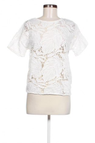 Damen Shirt Promod, Größe M, Farbe Mehrfarbig, Preis € 18,99