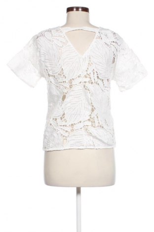 Damen Shirt Promod, Größe M, Farbe Mehrfarbig, Preis € 18,99