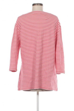 Bluzka damska Sonja Blank, Rozmiar XL, Kolor Kolorowy, Cena 62,99 zł