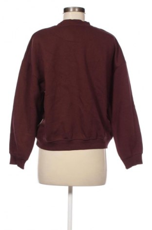 Damen Shirt Staccato, Größe L, Farbe Rot, Preis € 23,99